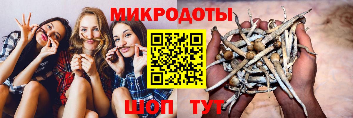 Галлюциногенные грибы прущие грибы Владикавказ